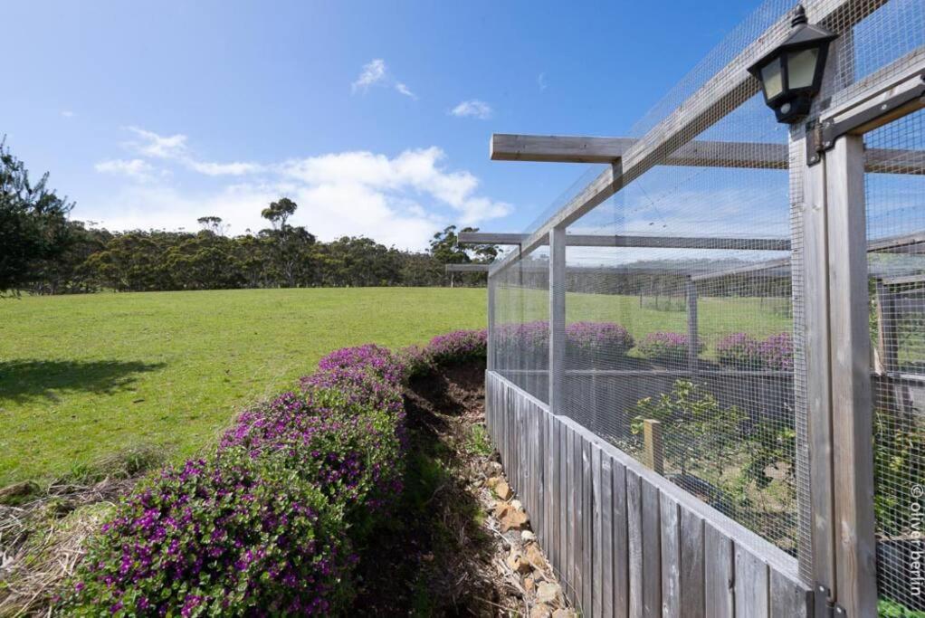 Apollo's Rest Holiday home